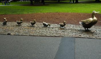 42. Make Way for Ducklings - 2